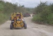 ATV Adventure Buggy